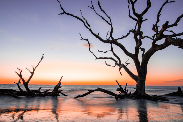 Isla Jekyll - Jekyll Island | Secret World Trip Planner