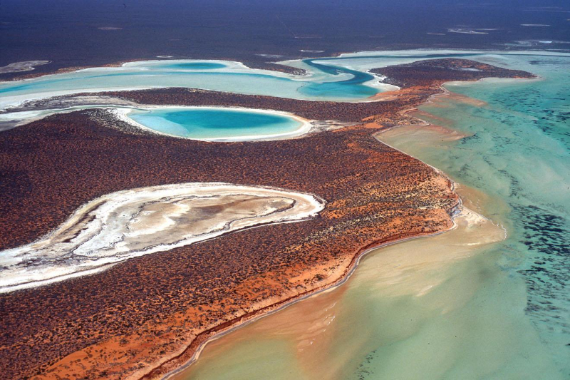 Shark Bay, West-Australië - Contea di Shark Bay | Secret World Trip Planner