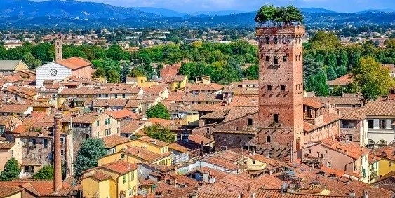 Lucca e le sue Torri:  Torre Guinigi - Lucca | Secret World Trip Planner