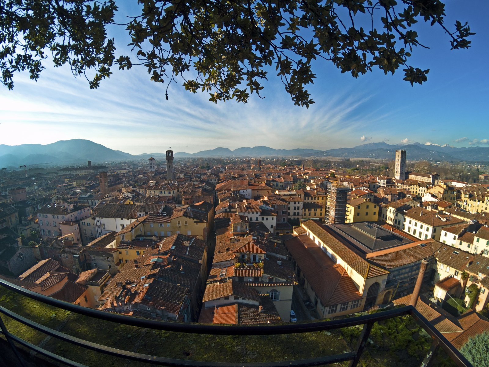 Lucca e le sue Torri:  Torre Guinigi - Lucca | Secret World Trip Planner