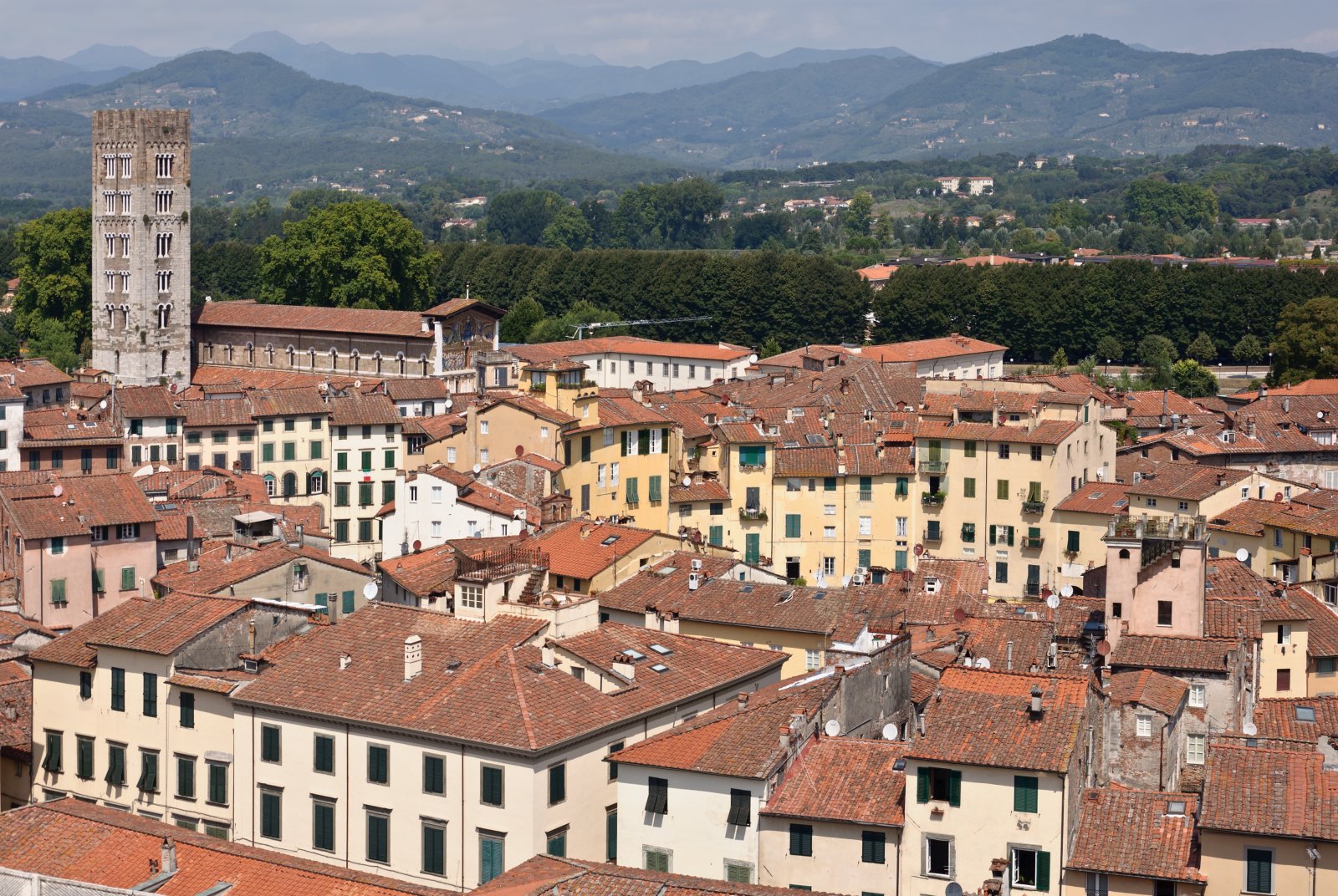 Lucca e le sue Torri:  Torre Guinigi - Lucca | Secret World Trip Planner