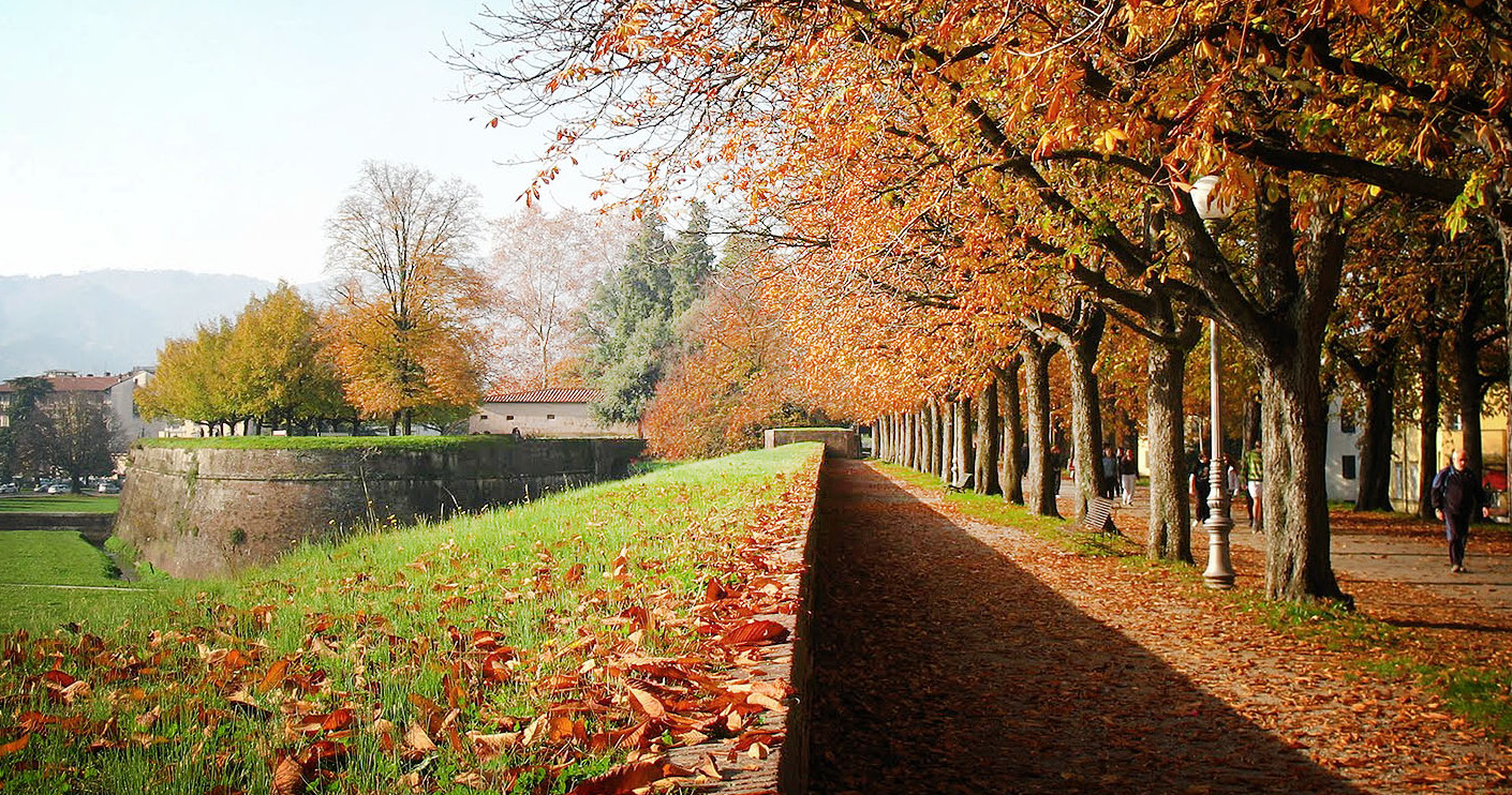 Le meravigliose Mura di Lucca - Lucca | Secret World Trip Planner
