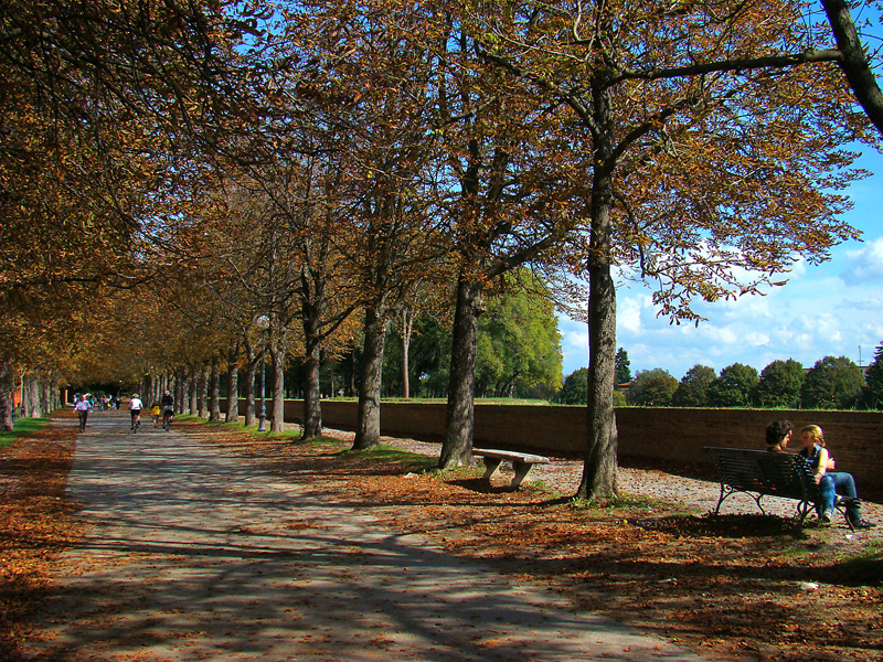 Le meravigliose Mura di Lucca - Lucca | Secret World Trip Planner