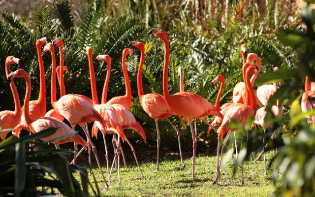Dschungelinsel - Miami | Secret World Trip Planner