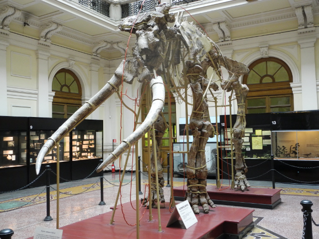 Burgerlijk Natuurhistorisch Museum Giacomo Doria - Genova | Secret World Trip Planner