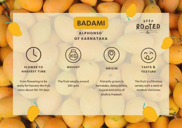 カルナータカ州のアルフォンソ、バーダミ - Badami | Secret World Trip Planner