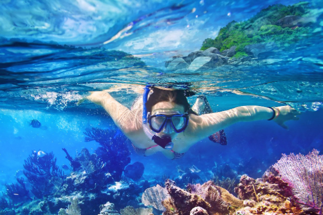 Isla Catalina - Isla Catalina | Secret World Trip Planner