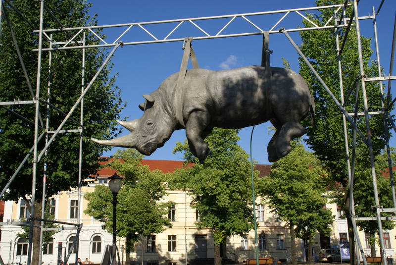 Висячий носорог - Potsdam | Secret World Trip Planner