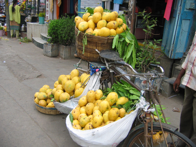 Mangue de Banganapalli - Banaganapalli | Secret World Trip Planner