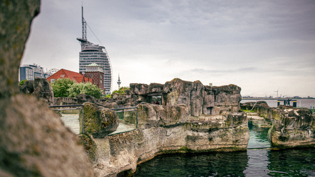 Zoo nad morzem - Bremerhaven | Secret World Trip Planner