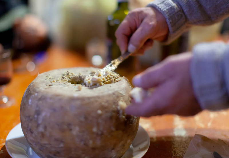 Casu Marzu - Italië - Sardegna | Secret World Trip Planner