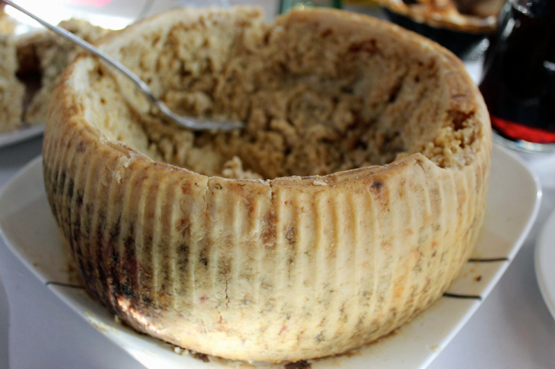 Casu Marzu - Italië - Sardegna | Secret World Trip Planner