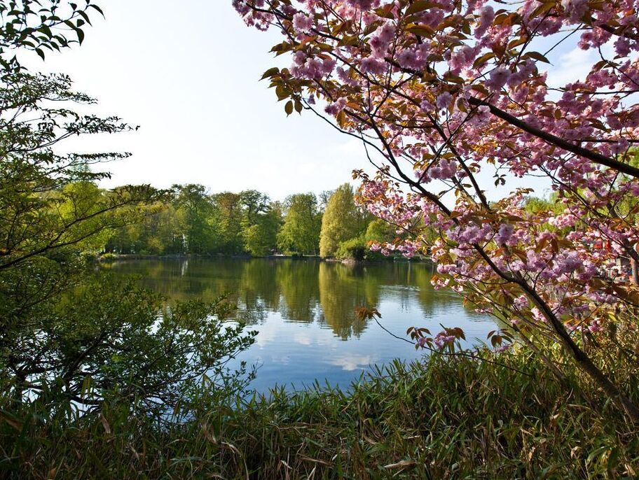 Parque Sauvabelin en Lucerna - Losanna | Secret World Trip Planner
