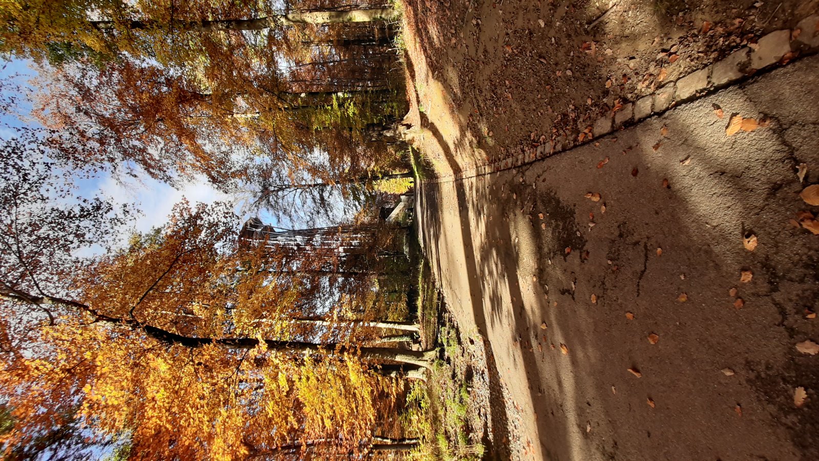 Parque Sauvabelin en Lucerna - Losanna | Secret World Trip Planner