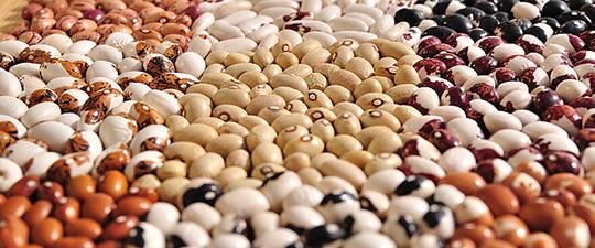 Sarconi beans BGA - Sarconi | Secret World Trip Planner