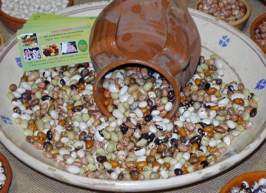 Sarconi beans BGA - Sarconi | Secret World Trip Planner