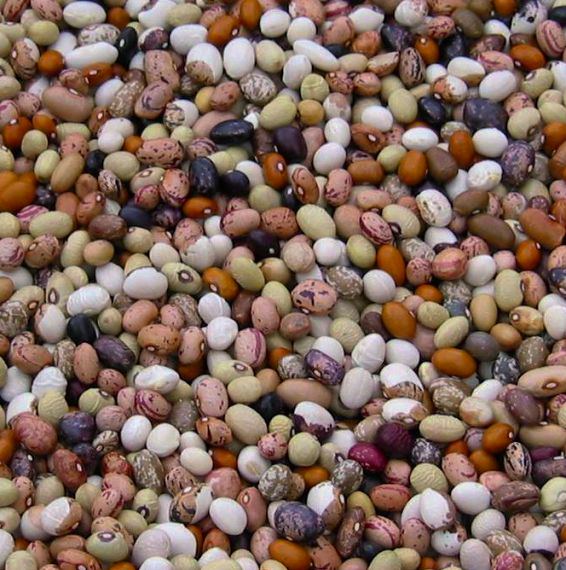 Sarconi beans BGA - Sarconi | Secret World Trip Planner