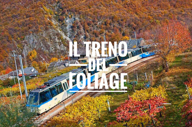 Gebladerte met de Centovalli-spoorlijn - Domodossola | Secret World Trip Planner