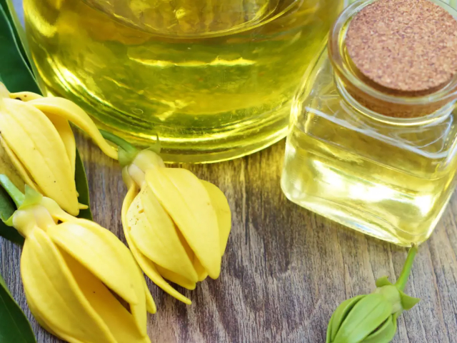 Esencias de ylang-ylang - Nosy Be | Secret World Trip Planner