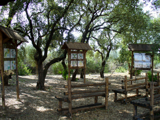 Sint-Pietersbos - Bosco di Santo Pietro | Secret World Trip Planner