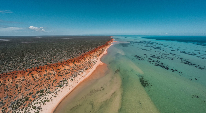 Шарк-Бей, Западная Австралия - Contea di Shark Bay | Secret World Trip Planner