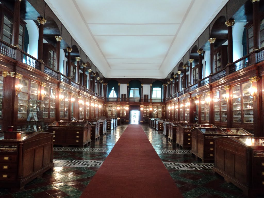 Echt Museo Mineralogico - Via Mezzocannone | Secret World Trip Planner