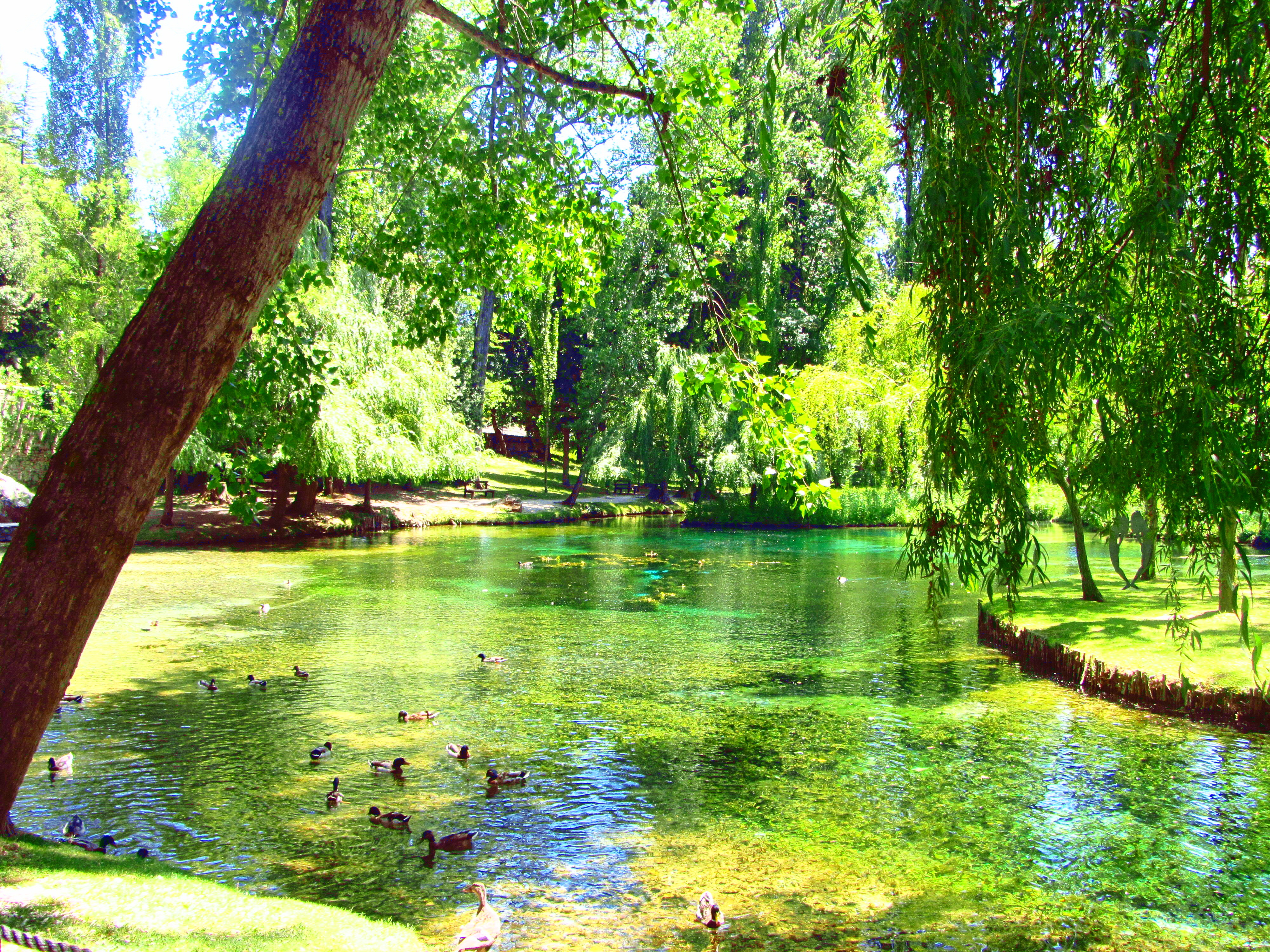 Fontes do Clitumno - Campello Sul Clitunno | Secret World Trip Planner