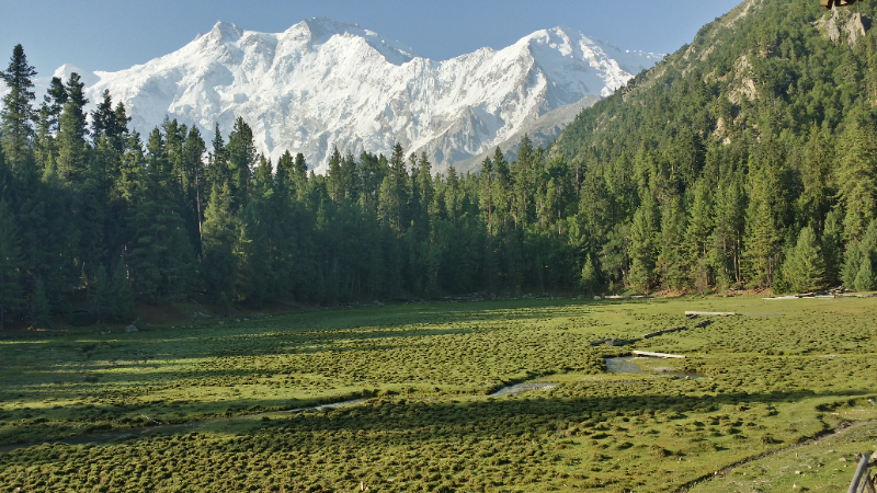 Parque Nacional dos Prados das Fadas, Paquistão - Fairy Meadows | Secret World Trip Planner