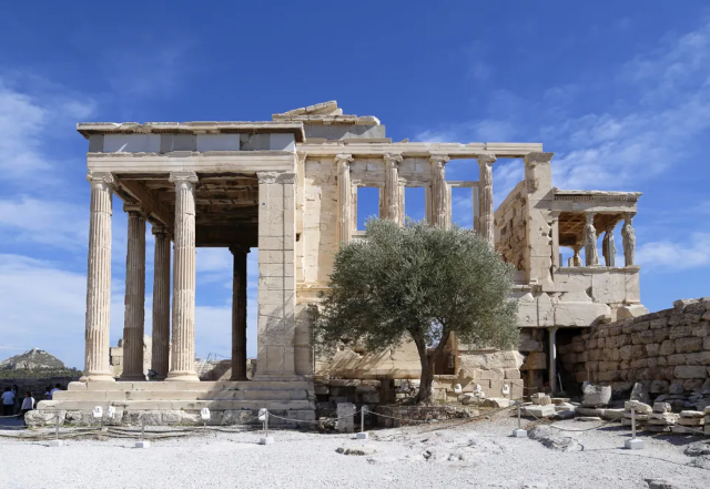 L'ulivo dell'Acropoli - Atene | Secret World Trip Planner
