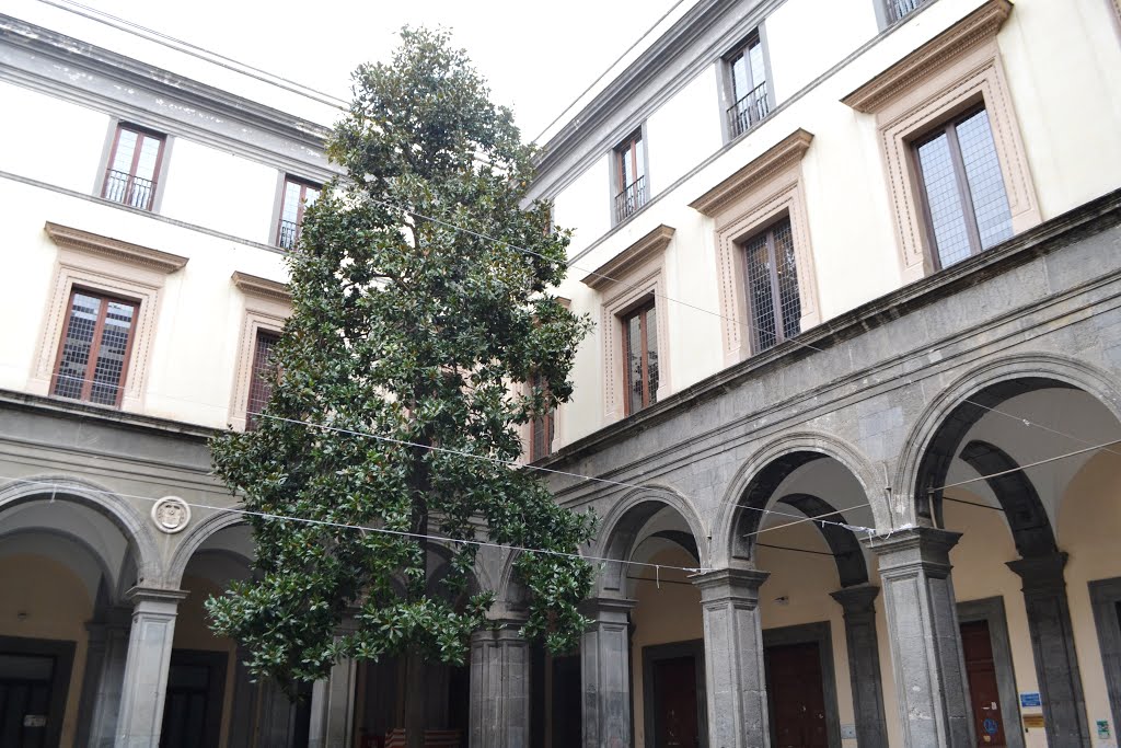 Palazzo Orsini in Gravina - Napoli | Secret World Trip Planner