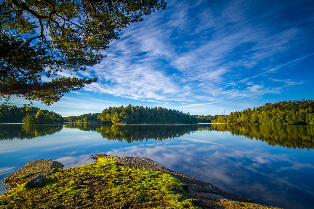 Rezerwat przyrody Änggårdsbergen - Mölndal | Secret World Trip Planner