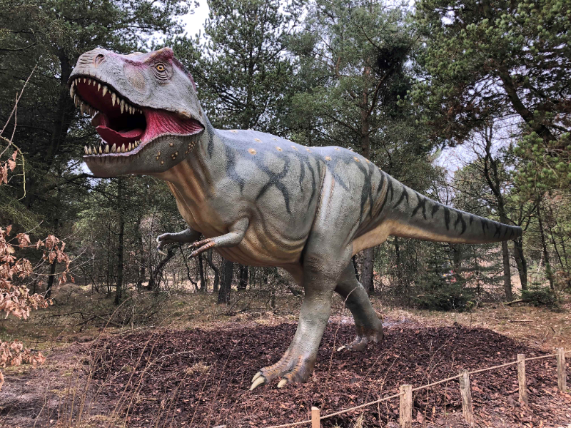 Zoo di Givskud - Give | Secret World Trip Planner