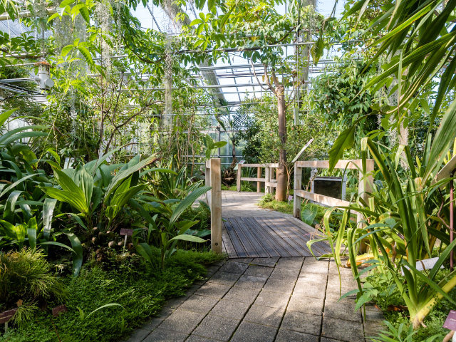 Nationales Botanisches Konservatorium von Brest - Brest | Secret World Trip Planner