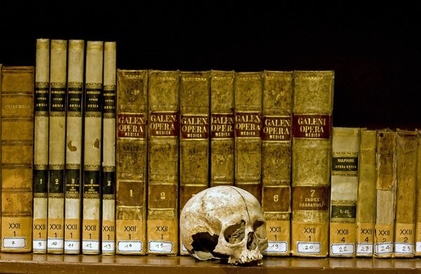 Museum van Anatomie - Napoli | Secret World Trip Planner