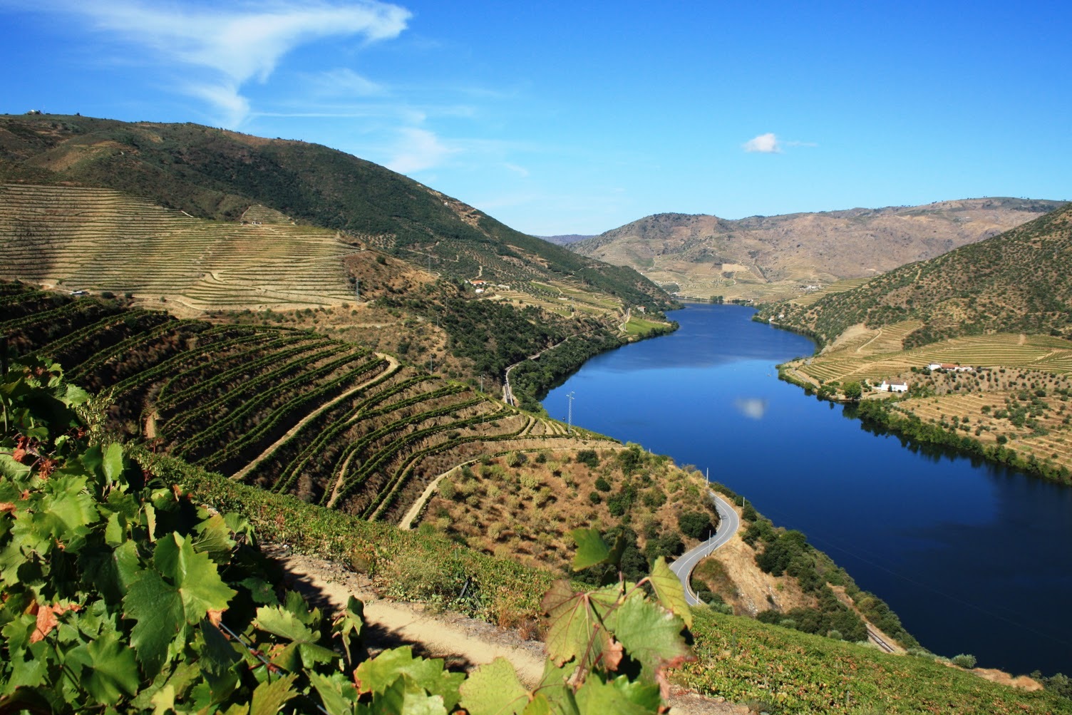 Alto Douro Vinhateiro — Vila Real