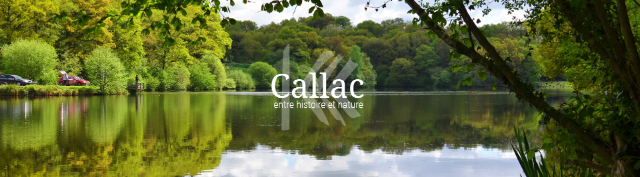 Callac en de Bretonse spaniëls - Callac | Secret World Trip Planner