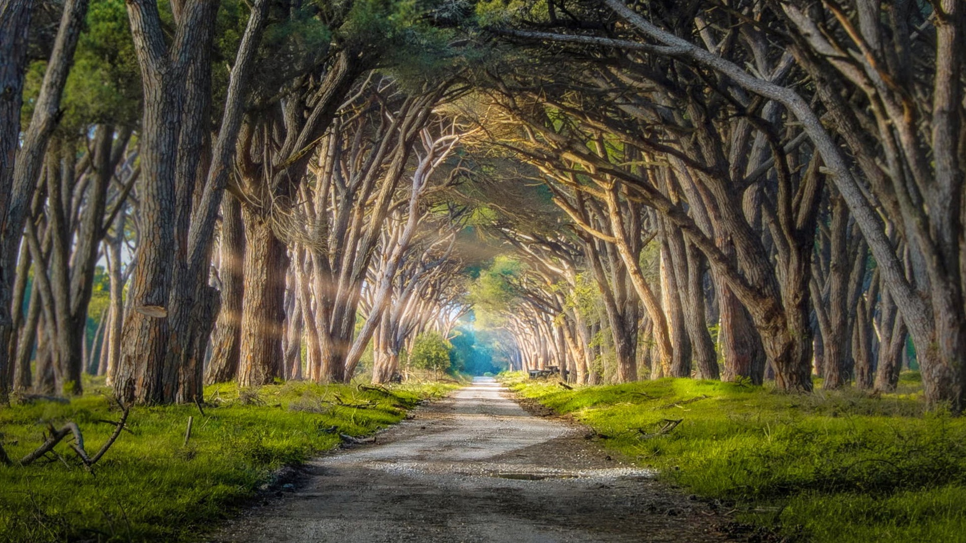 Park przyrody San Rossore - Provincia di Pisa | Secret World Trip Planner