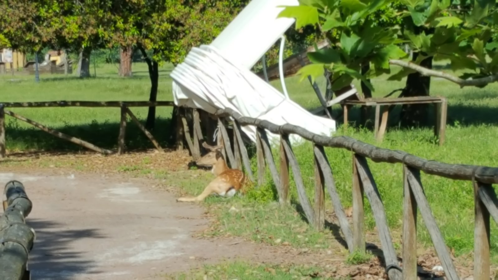 Park przyrody San Rossore - Provincia di Pisa | Secret World Trip Planner