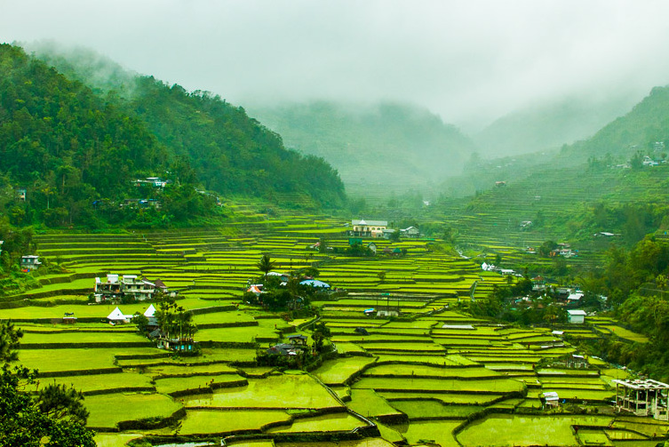 유네스코,필리핀의 멋진 논 테라스 — Banaue