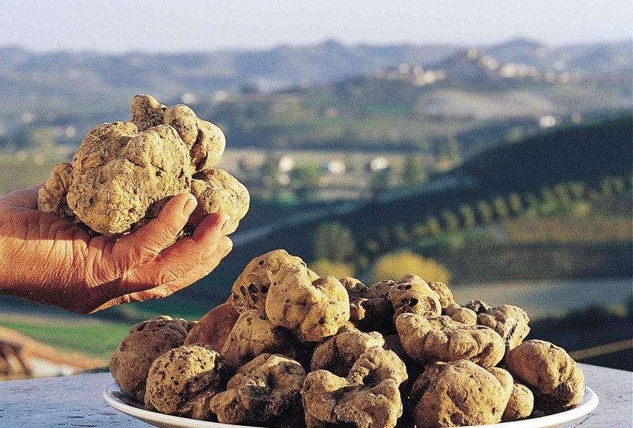 Witte truffel van Ceppaloni - Ceppaloni | Secret World Trip Planner