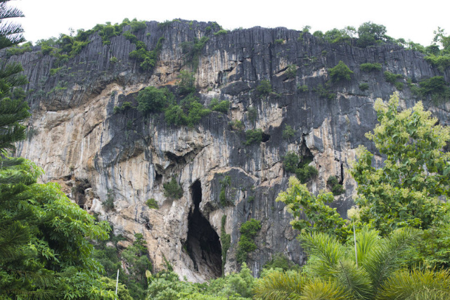 Grutas de morcegos do Parque Nacional de Khao Yai - Provincia di Nakhon Ratchasima | Secret World Trip Planner