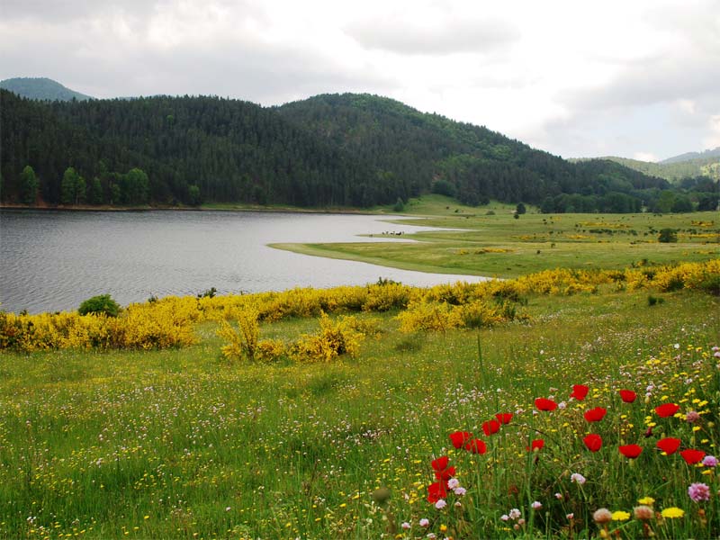 озеро Амполлино - Lago Ampollino | Secret World Trip Planner