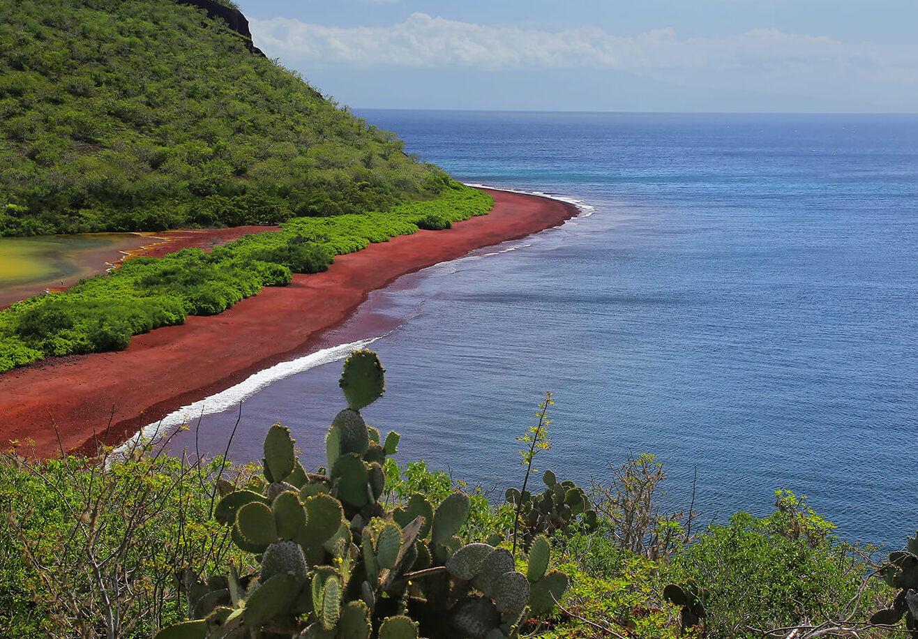 Galapagos i piękna Czerwona Plaża — Île Rábida