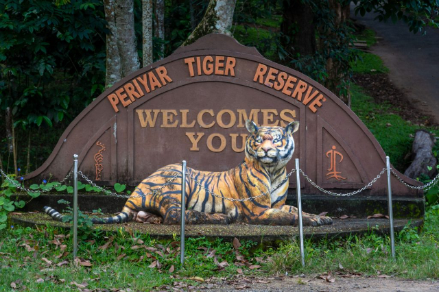 Тигровый заповедник Перияр - Kerala | Secret World Trip Planner