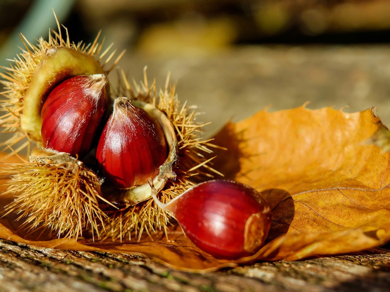 La Val Pellice e le castagne - Val Pellice | Secret World Trip Planner