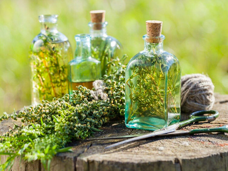 Piedmont Genepi - Piemonte | Secret World Trip Planner