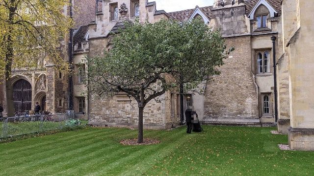 Le pommier de Newton - Trinity St | Secret World Trip Planner