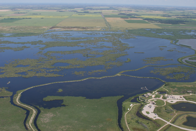 Najlepszy Bird-Watching w Manitobie - Rockwood | Secret World Trip Planner