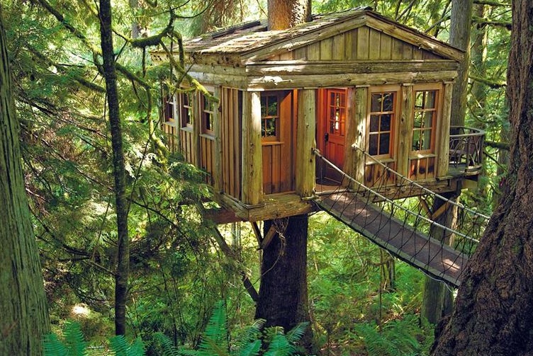 Treehouse Point, Estado de Washington, EUA 

Este hotel, composto por vários - Washington | Secret World Trip Planner